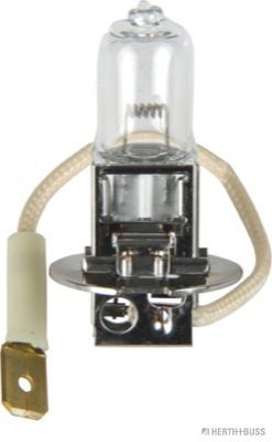 HERTH+BUSS ELPARTS Лампа накаливания, противотуманная фара 89901053